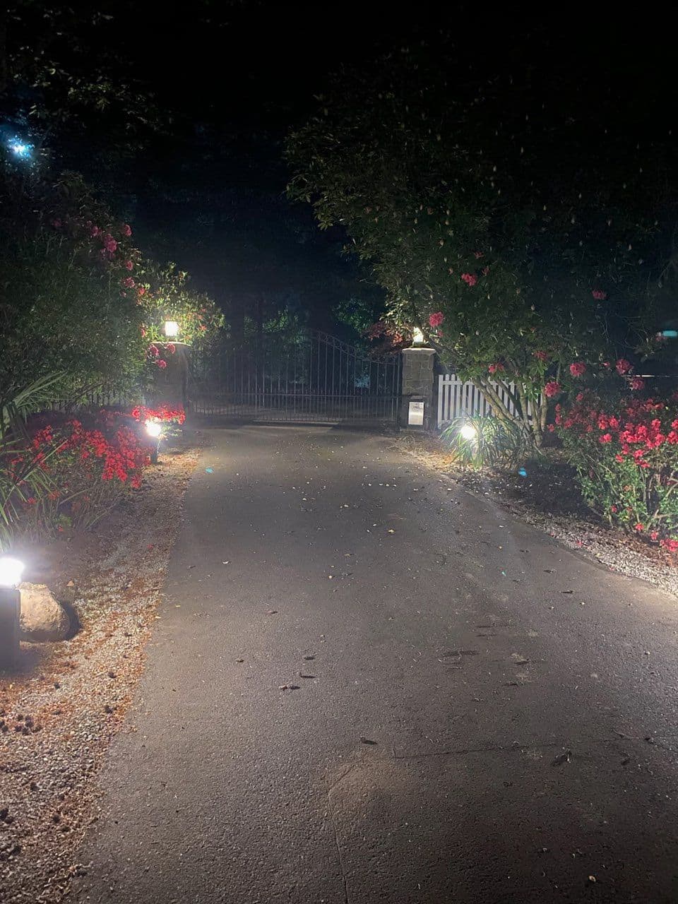 Illuminate Your Pathway with E-PRO's Landscape Lighting image