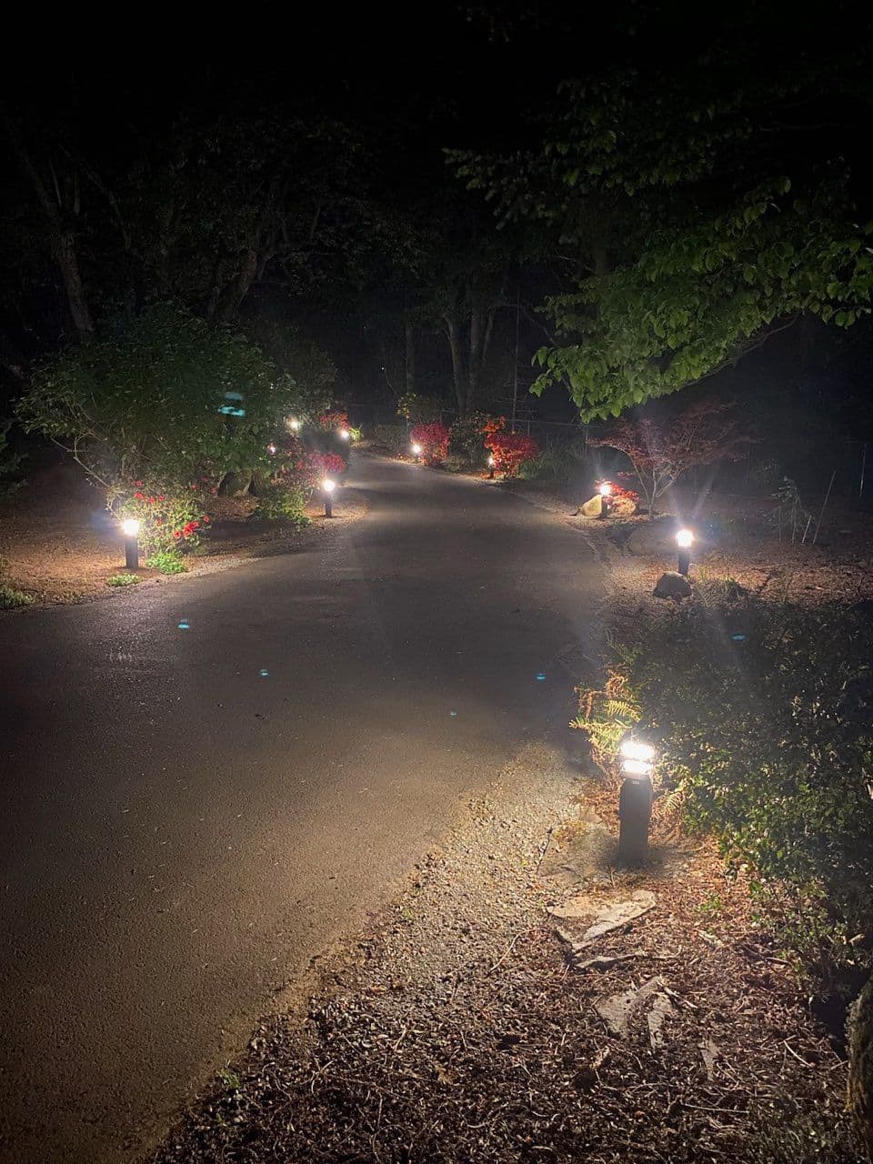 Gallery photos for Illuminate Your Pathway with E-PRO's Landscape Lighting: Image #1