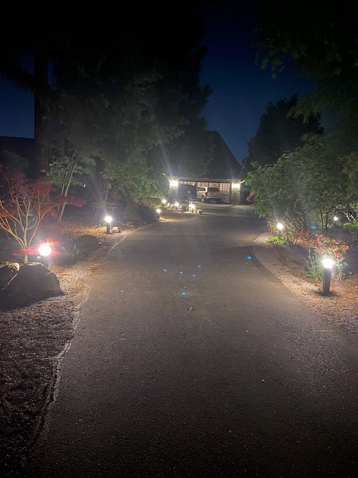 Gallery photos for Illuminate Your Pathway with E-PRO's Landscape Lighting: Image #2